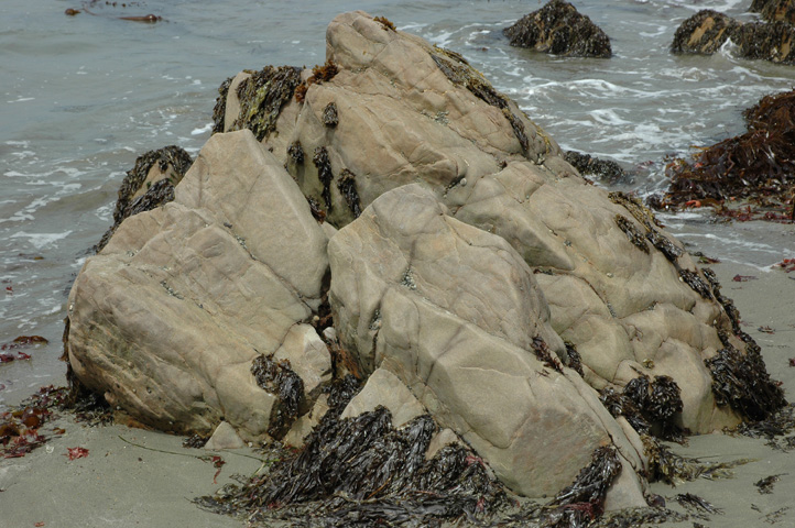 Moonstone Beach 027.jpg